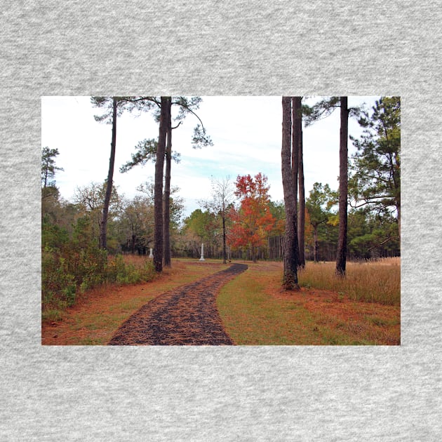 Autumn At The Battlefield by Cynthia48